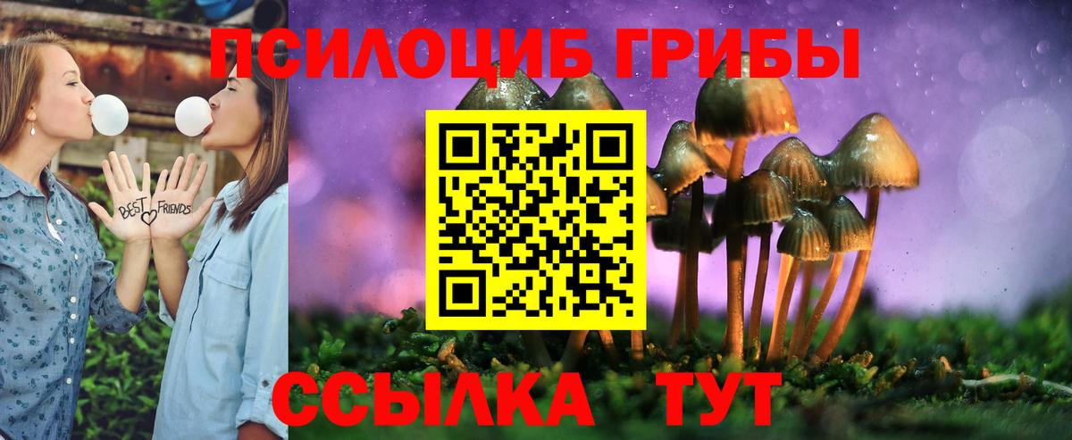 Дзержинск  Псилоцибиновые грибы Psilocybe  Вход с VPN 